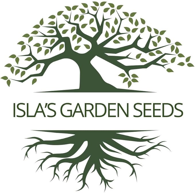 "Black Valentine" Bush Bean Seeds, 50+ Heirloom Seeds Per Packet, Non GMO Seeds, (Isla's Garden Seeds), Botanical Name: Phaseolus vulgaris