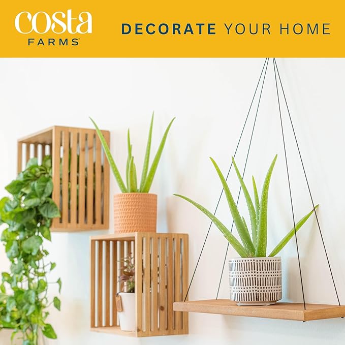 Wall Hooks & Shelves