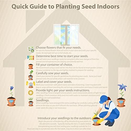 Outsidepride 100 Seeds Perennial Night & Day Scabiosa Pincushion Flower Seed Mix for Planting