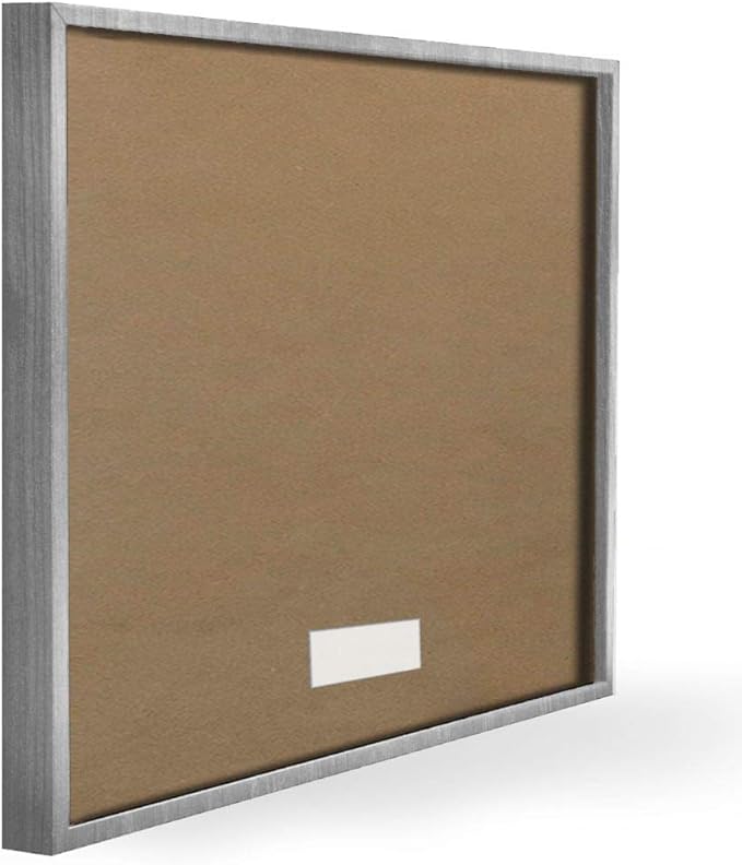 Stupell Industries Boho Plant Scene with Cacti and Succulents in Geometric Pots Watercolor Framed Giclee Art Design By Artist Grace Popp