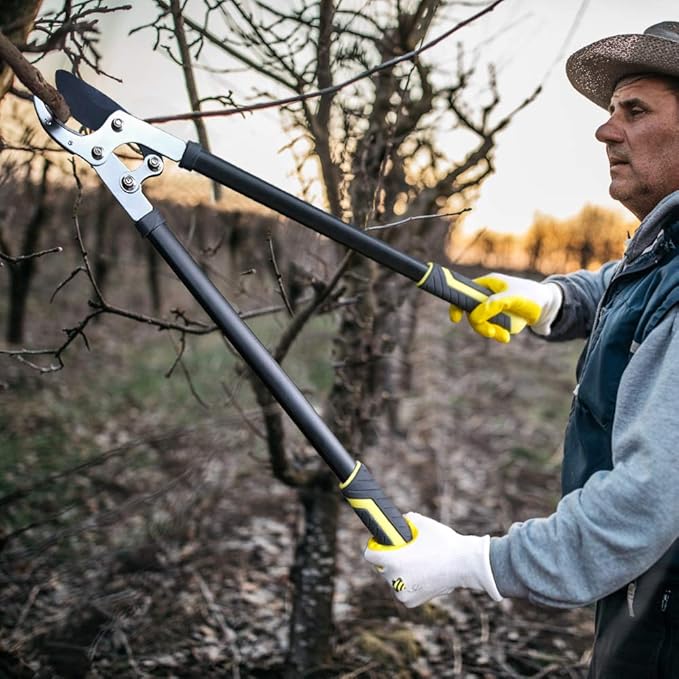 JARDINEER Garden Loppers Pruners Set, Include 30" Anvil Loppers for Tree Trimming Heavy Duty with 2" Cutting Capacity, Bypass Pruning Shear and Spare Loppers Blade