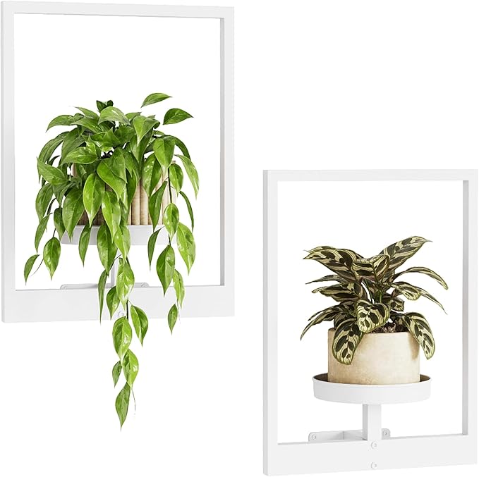 Bamworld Wall Plant Hanger Indoor Wall Planters for Indoor Plants Window Plant Shelves Wall Plant Holder Plant Stand Indoor Wall Decor, Plant Decor, Room Decor, White (Patent Design)