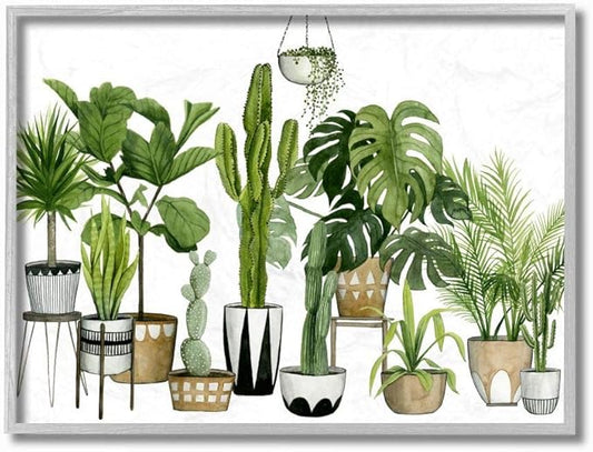 Stupell Industries Boho Plant Scene with Cacti and Succulents in Geometric Pots Watercolor Framed Giclee Art Design By Artist Grace Popp