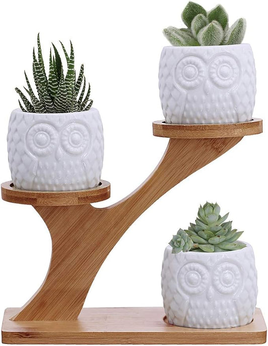 3pcs Owl Succulent Pots with 3 Tier Bamboo Saucers Stand Holder - White Modern Decorative Ceramic Flower Planter with Drainage - Home Office Desk Garden Mini Cactus Plant Pot Indoor Decoration