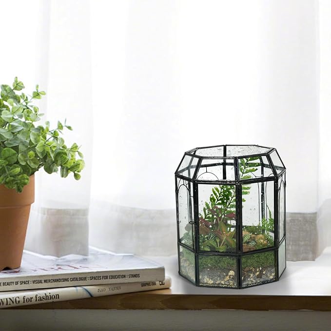 Ferrisland Glass Terrarium Plants with Lid, Black Geometric Terrarium Jar for Succulent Air Carnivorous Plant Moss Snail, Birdcage Shape Tabletop Greenhouse Indoor Decor DIY Presents (Only Terrarium)