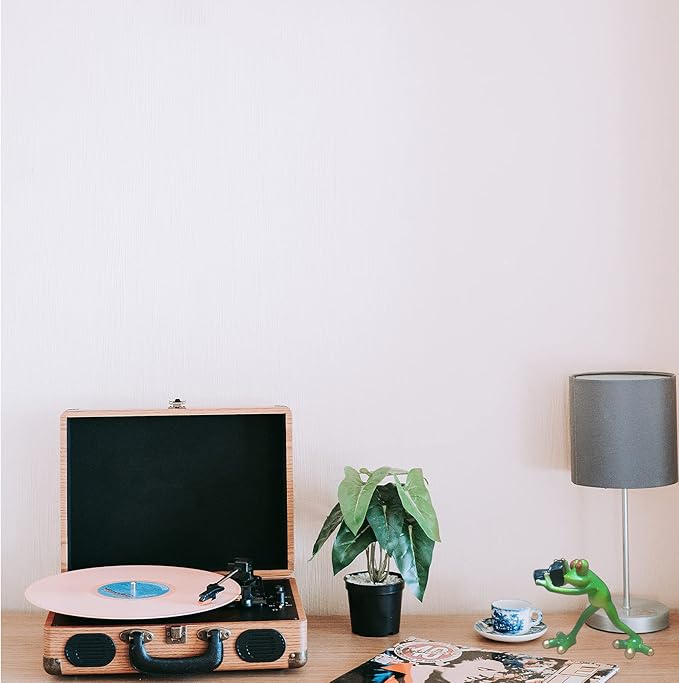 Outdoor Decor Garden Frogs Outdoor Decor Frog Gifts,Paparazzi Camera Decor,Frog Statues for Garden Frog Resin Crafts for Shelves Table Desk Decor