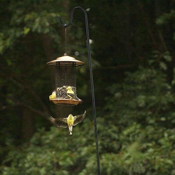 Bird Feeder Pole, 46 Inch & 5/8 Inch Diameter Stainless Steel Heavy Duty Shepherds Hooks for Outdoor to Hang Outdoor Lights with 5 Prongs Base, Rustproof for Garden Decor or Wedding Decors(Black)