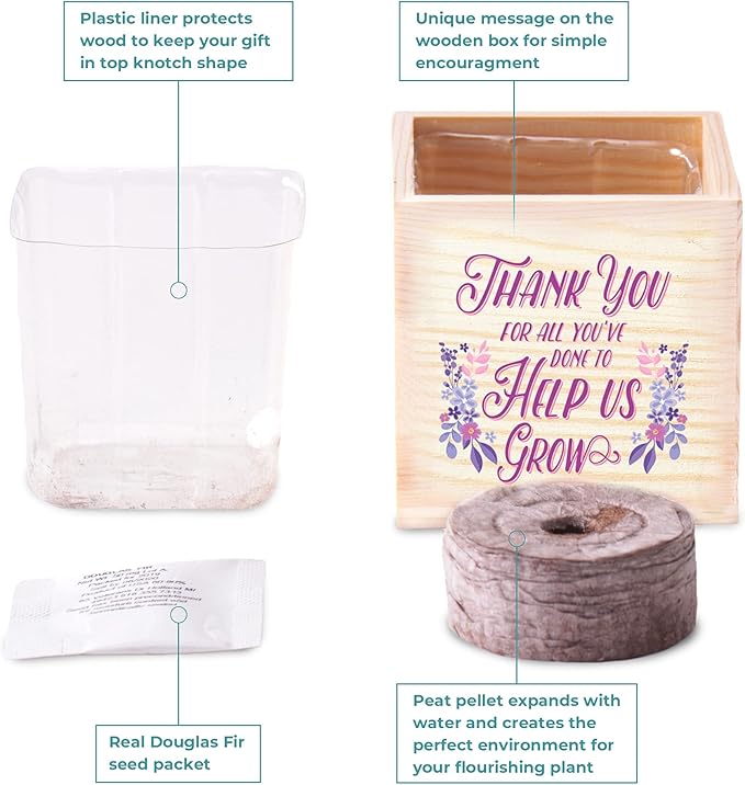 Cheersville! Desk Plant for Home or Office Decor - Growing Kit - Appreciation Plant Cube - Parent (Thank You for Helping Us Grow - 3 Pack)