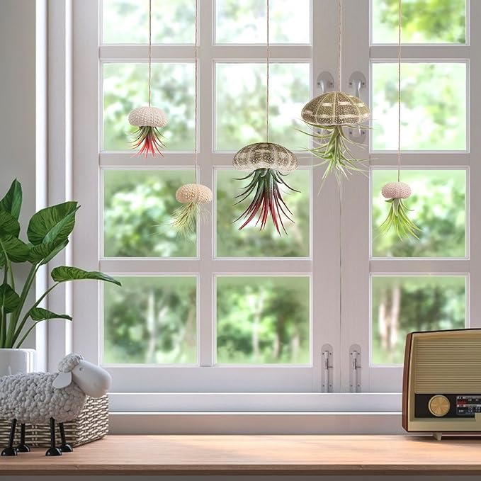 5 Pack Mini Sea Urchin Shell Air Plant Holders- 1.4-3.7 Inch Decorative Airplant Pot, Tabletop Air Tillandsia Succulent Display Container for Home Garden Decor Beach Theme Party Favors (No Plants)