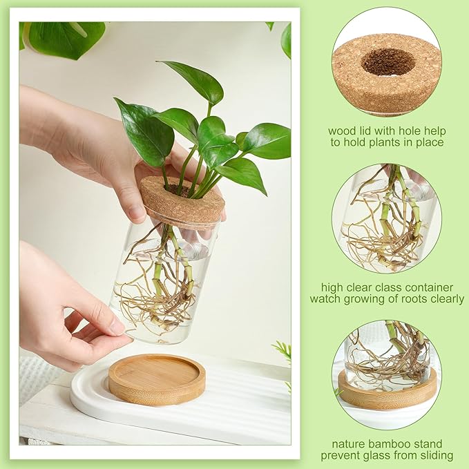 Layhit 4 Pcs Plants Propagation Stations Separated Desktop Plant Terrarium Glass Planter Vase with Wooden Lid and Bamboo Stand for Growing Hydroponic Home Office Tabletop Decoration (Funny Style)