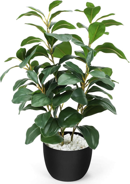 HUAESIN 17 inch Artificial Indoor Plants Faux Plant Peperomia Leaf Ficus Plant Realistic Small Fake Office Desk Tree for Home Kitchen Farmhouse Bathroom Bedroom Evergreen Decor