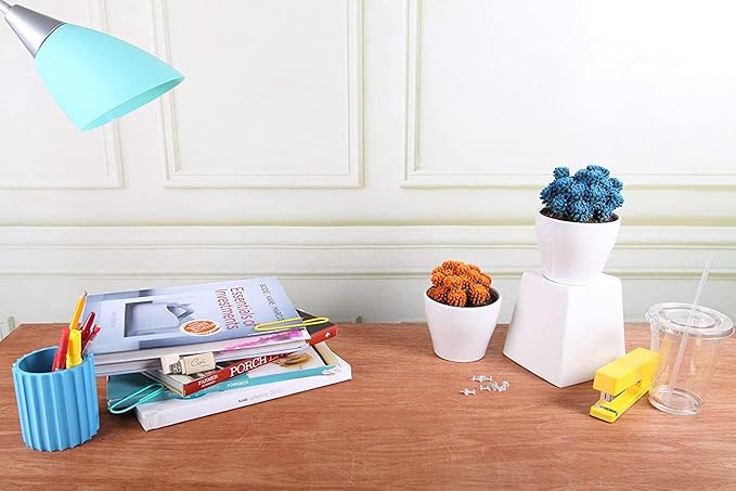 Costa Farms, Premium Live Indoor Desert Gems Purple Cacti, Tabletop Plant, White Gloss Euro Ceramic Decorator Pot, Shipped Fresh From Our Farm, Excellent Gift