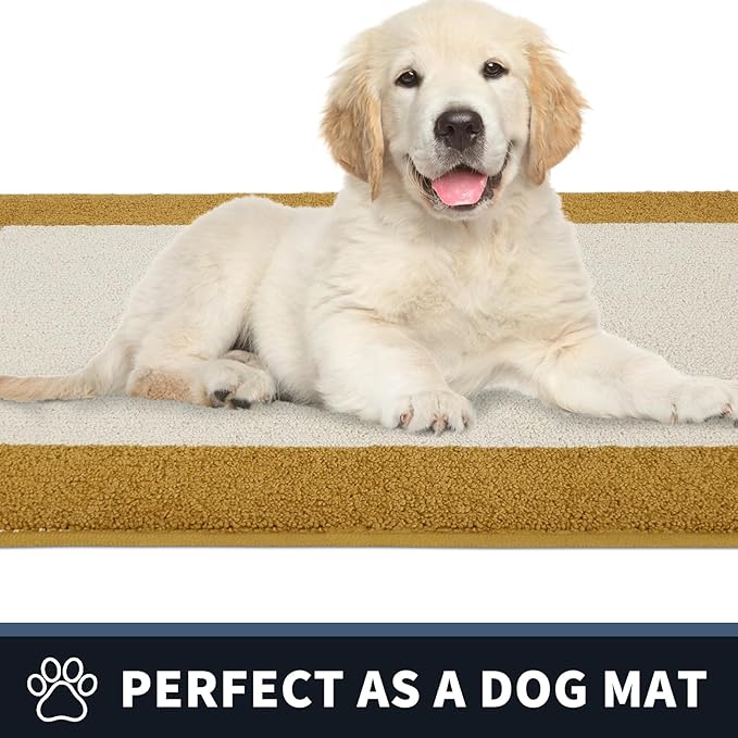 PURRUGS Dirt Trapping Door Mat 24" x 60", Non-Slip/Skid Machine Washable Entryway Rug, Shoes Scraper, Throw Rug, Super Absorbent Area Rug for Muddy Wet Shoes and Paws, Light Cream & Gold