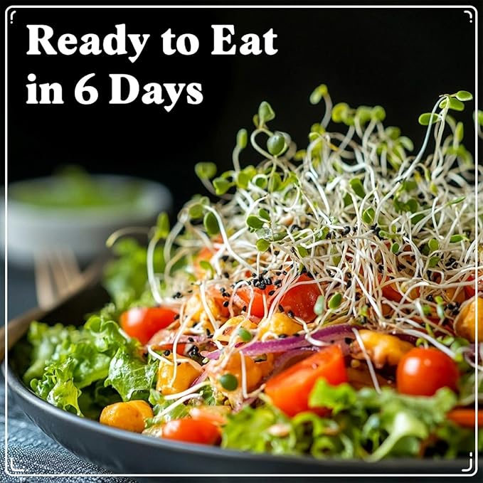 Organic Broccoli Seeds for Sprouting - Non-GMO, USA Grown Broccoli Microgreens Sprouting Seeds Mix - Makes 8 Quarts of Sprouts, 24 Servings (8 oz) (Broccoli)