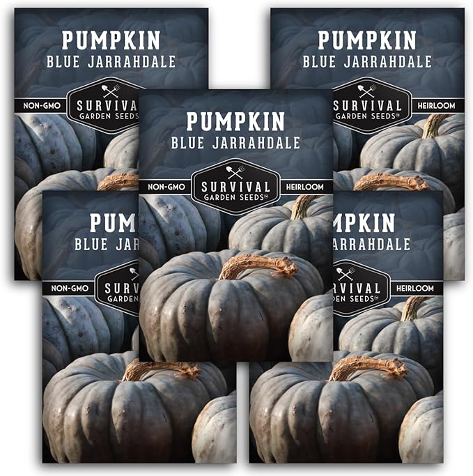 Blue Jarrahdale Pumpkin Seeds for Planting - 5 Packets with Instructions to Plant & Grow Decorative and Flavorful Blue Pumpkins in Your Home Garden - Non-GMO Heirloom Variety - Survival Garden Seeds