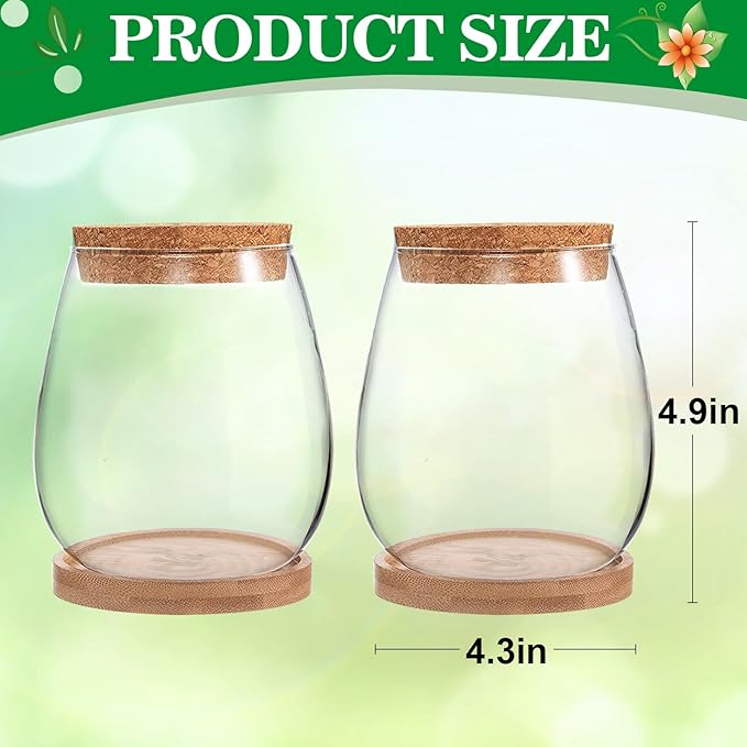 Plants Propagation Station - 2Pcs Desktop Plant Terrarium Glass Hydroponic Vases, Water Plant Propagating Jars, Gardening Gifts for Women Mom Plant Lovers (Water Drop Shape, Separated Tray Style)