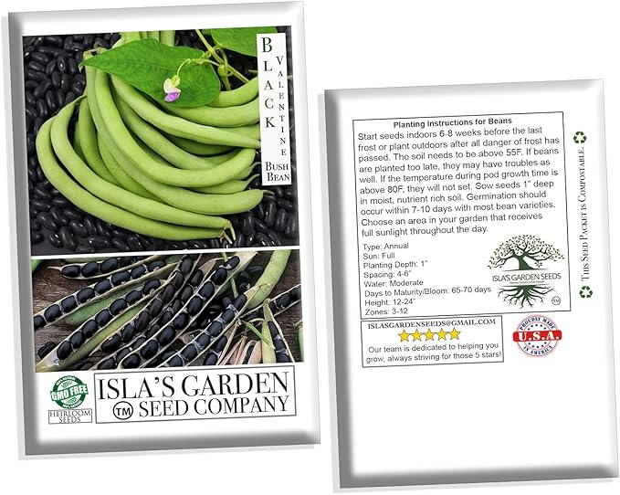 "Black Valentine" Bush Bean Seeds, 50+ Heirloom Seeds Per Packet, Non GMO Seeds, (Isla's Garden Seeds), Botanical Name: Phaseolus vulgaris
