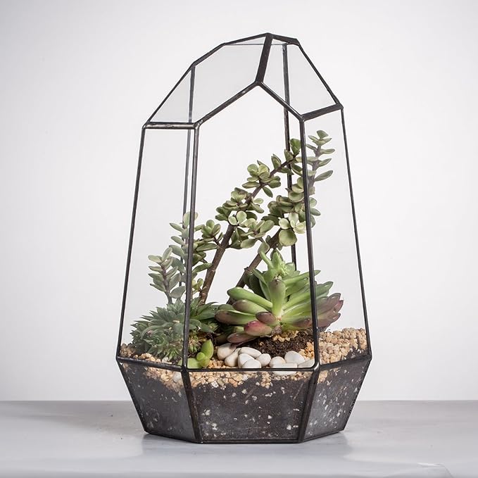 NCYP Geometric Glass Terrarium Planter for Succulent, Small Cacti - 6.5" x 5.7" x 9.8" Black Irregular Opened Container Pot, Indoor Home Garden Office Tabletop Decor (No Plants, No Door)