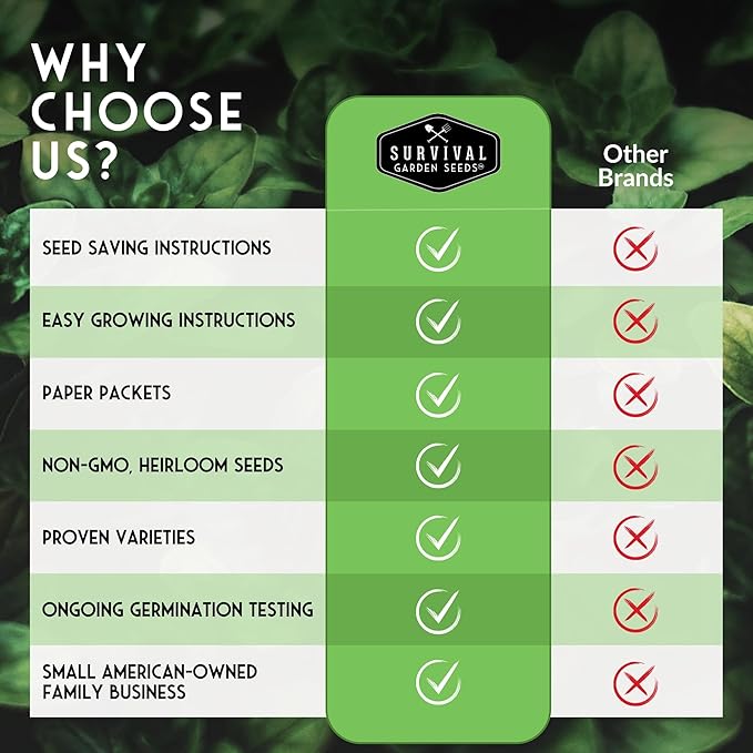 Blue Jarrahdale Pumpkin Seeds for Planting - 2 Packets with Instructions to Plant & Grow Decorative and Flavorful Blue Pumpkins in Your Home Garden - Non-GMO Heirloom Variety - Survival Garden Seeds