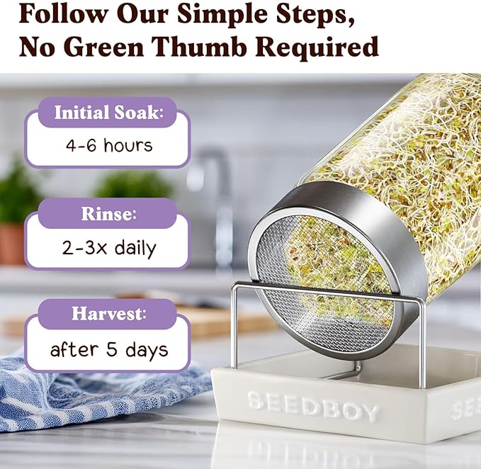 Organic Alfalfa Seeds for Sprouting - Non-GMO, USA Grown Alfalfa Microgreens Sprouting Seeds Mix - Makes 8 Quarts of Sprouts, 24 Servings (8 oz) (Alfalfa)