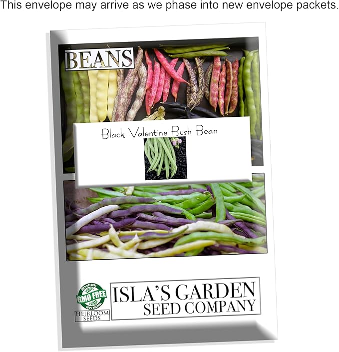 "Black Valentine" Bush Bean Seeds, 50+ Heirloom Seeds Per Packet, Non GMO Seeds, (Isla's Garden Seeds), Botanical Name: Phaseolus vulgaris
