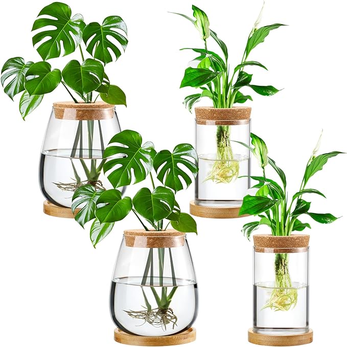 Layhit 4 Pcs Plants Propagation Stations Separated Desktop Plant Terrarium Glass Planter Vase with Wooden Lid and Bamboo Stand for Growing Hydroponic Home Office Tabletop Decoration (Classic Style)