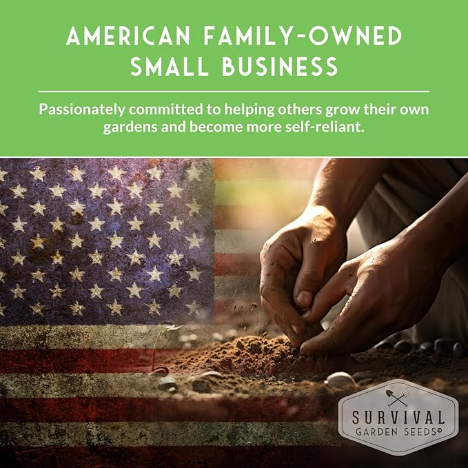 Blue Jarrahdale Pumpkin Seeds for Planting - 2 Packets with Instructions to Plant & Grow Decorative and Flavorful Blue Pumpkins in Your Home Garden - Non-GMO Heirloom Variety - Survival Garden Seeds