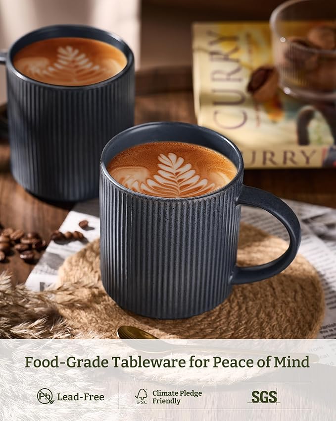 famiware Coffee Mug Set for 6, Star 16 oz Catering Mugs Cup Set with Handle for Coffee, Tea, Cocoa, Milk - Ceramic Stoneware Drinkware Set, Matte Dark Charcoal