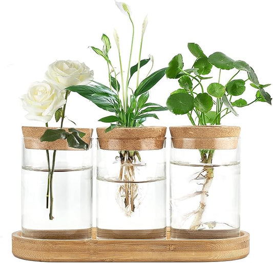 Dahey Plant Propagation Terrarium Desktop Glass Planter Station Water Planting Glass Vase with Lid and Wooden Stand for Propagating Hydroponic Plants Centerpiece Office Home Garden Decor, 3 Pcs