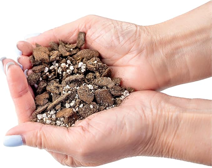 Professional Succulent Soil Premium All Purpose Blend | Pre-Mixed Ready to Use for Cactus and Succulents | Sphagnum Peat Moss, Perlite, New Zealand Pine Bark - Made in USA - 4 Quart