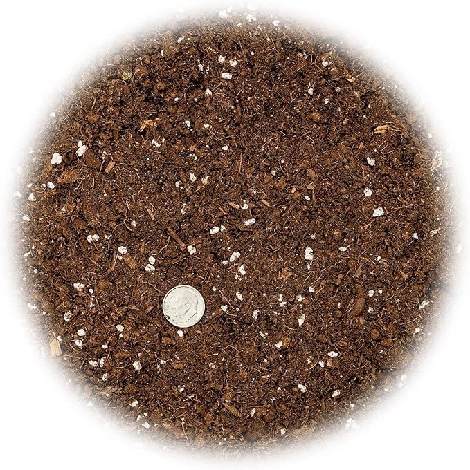 Premium Pothos Potting Soil Mix - Air Cleaning Plant Potting Mix, Soil Mix for Pothos, Parlor Palm, Peace Lily - (1 Quart Bag)