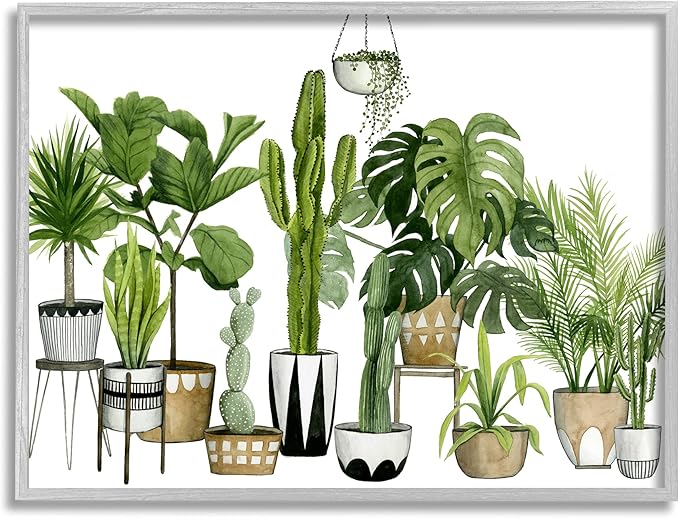 Stupell Industries Boho Plant Scene with Cacti and Succulents in Geometric Pots Watercolor Framed Giclee Art Design By Artist Grace Popp