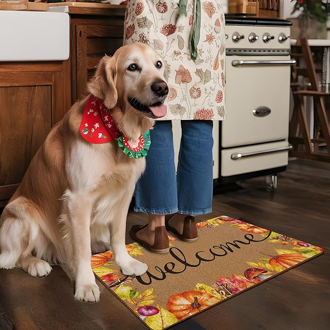 Fall Pumpkin Welcaome Door Mat, Fall Pumpkin Welcome Front Door Mat Indoor Outdoor Entrance, Seasonal Autumn Artificial Coir Doormats Rugs for Porch Entryway Decor 30x17in