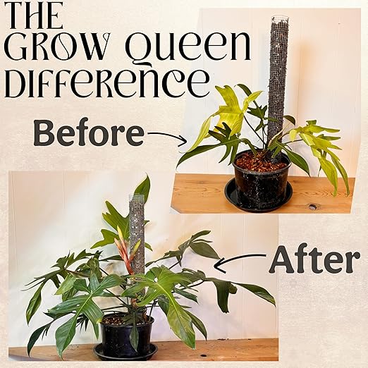 All-in-One Complete Organic Plant Food, Indoor Plant Food for Houseplants, Organic Fertilizer for Vegetable Gardens, 7 Formulated Single Servings Feeds 14 gal Fast and Slow Release