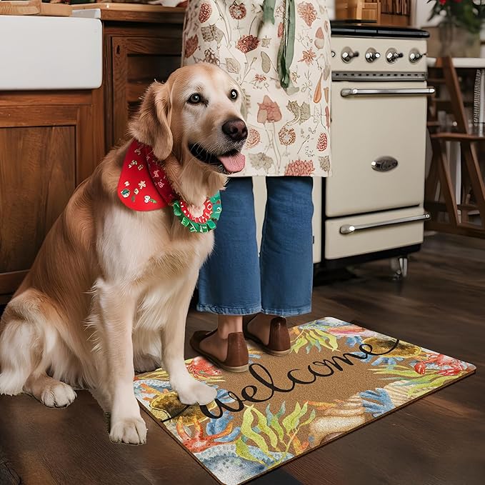 Beach Coastal Welcome Door Mat, Summer Doormat, Ocean Welcome Front Door Mat Indoor Outdoor Entrance, Beachy Seashell Artificial Coir Doormats Rugs for Patio Entry Home Decor, 30x17in