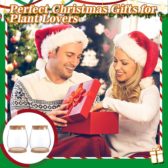 Plants Propagation Station - 2Pcs Desktop Plant Terrarium Glass Hydroponic Vases, Water Plant Propagating Jars, Gardening Gifts for Women Mom Plant Lovers (Water Drop Shape, Separated Tray Style)