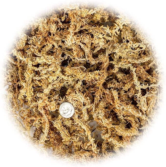 Premium New Zealand Sphagnum Moss - Organic Hand Mixed Long Fibered Sphagnum Moss Orchid - 5 Quart