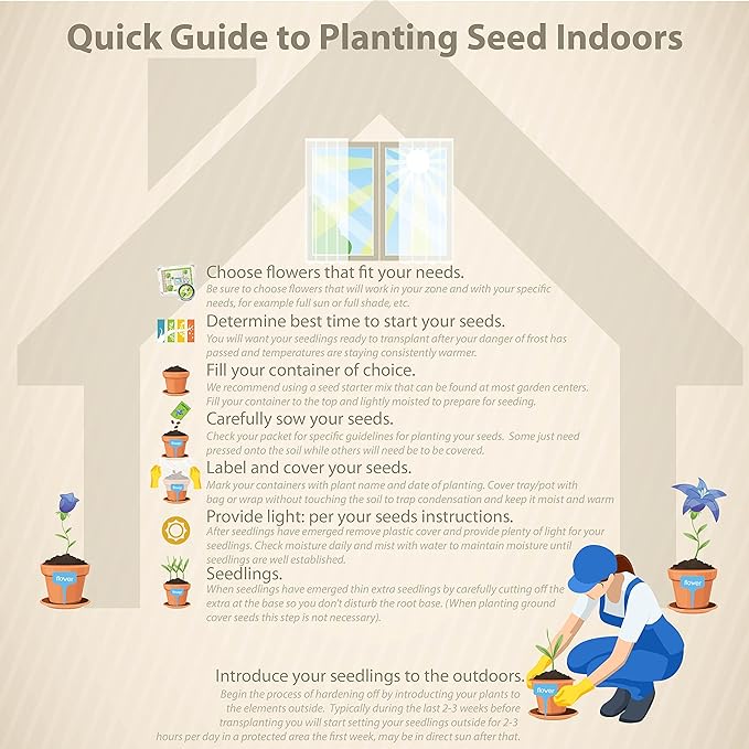 Outsidepride 200 Seeds Perennial Blue Scabiosa Pincushion Flower Seeds for Planting