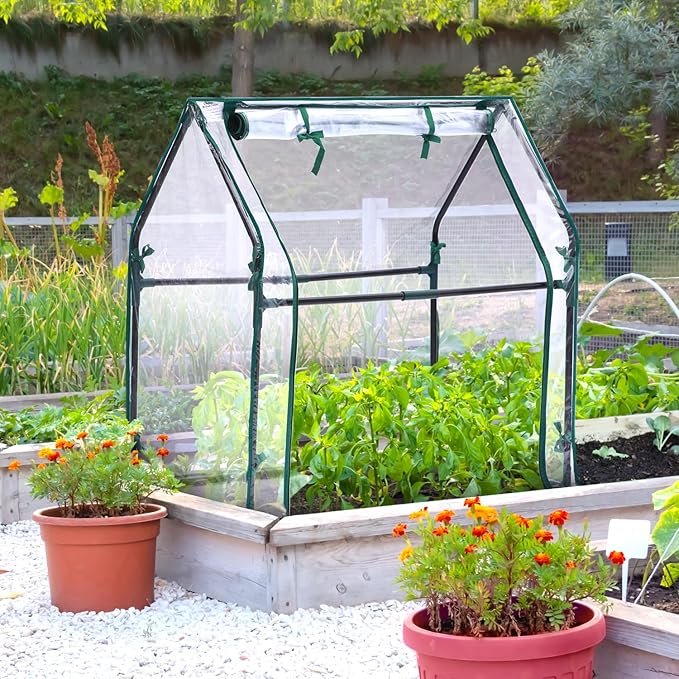 Mini Greenhouse for Indoor Outdoor: Ohuhu Tabletop Portable Green House with Waterproof Pad for Small Plants Nursery Germination, 36"x18"x33" Heavy-Duty Cover Tent Humidity Dome Seedling Accessory