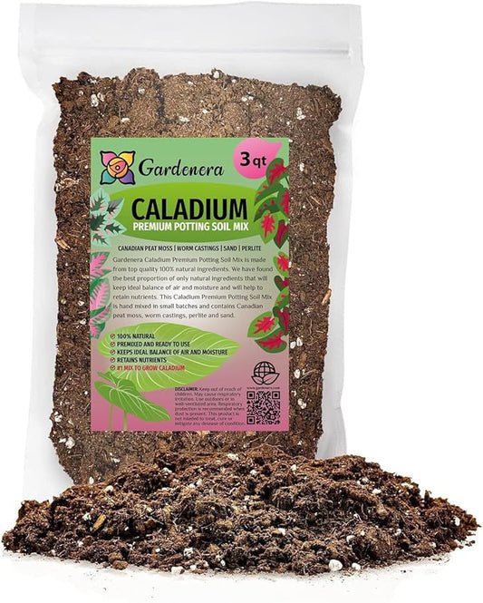 Caladium Plant Potting Soil - Enhance Colorful Beauty and Health with Professional Grade Nutrient-Rich Mix - 3 Quart