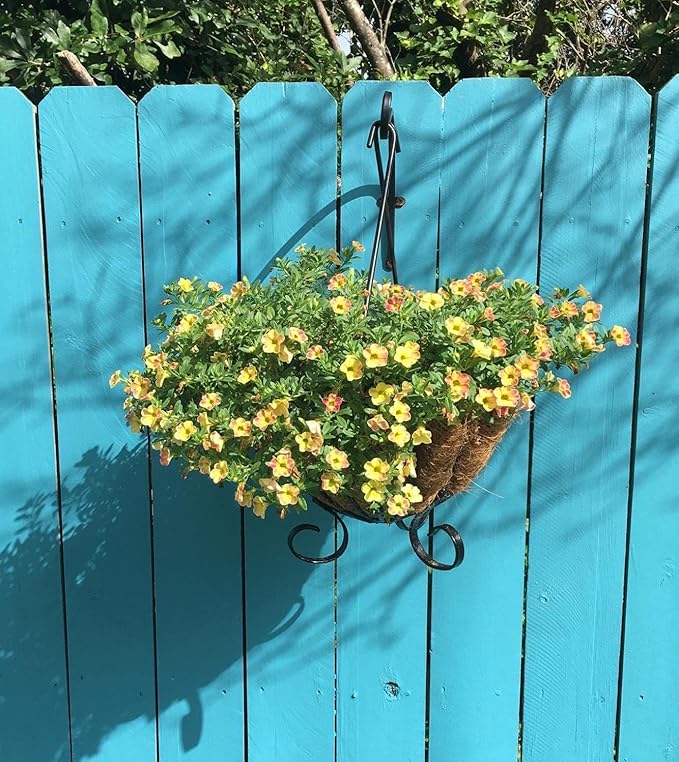 4 Pack Heavy Duty Plant Hanger Bracket, 16Inch Hanging Brackets for Plants Outdoor and Indoor, 80lbs Holding Capacity Metal Plant Wall Hooks, Black Hanging Plant Brackets for Flower Wind Bird Feeder