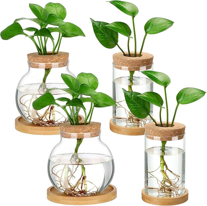 Layhit 4 Pcs Plants Propagation Stations Separated Desktop Plant Terrarium Glass Planter Vase with Wooden Lid and Bamboo Stand for Growing Hydroponic Home Office Tabletop Decoration (Funny Style)