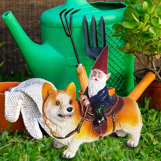 Funny Guy Mugs Garden Gnome Statue - Gnome Riding a Corgi - Indoor/Outdoor Garden Gnome Sculpture for Patio, Yard or Lawn