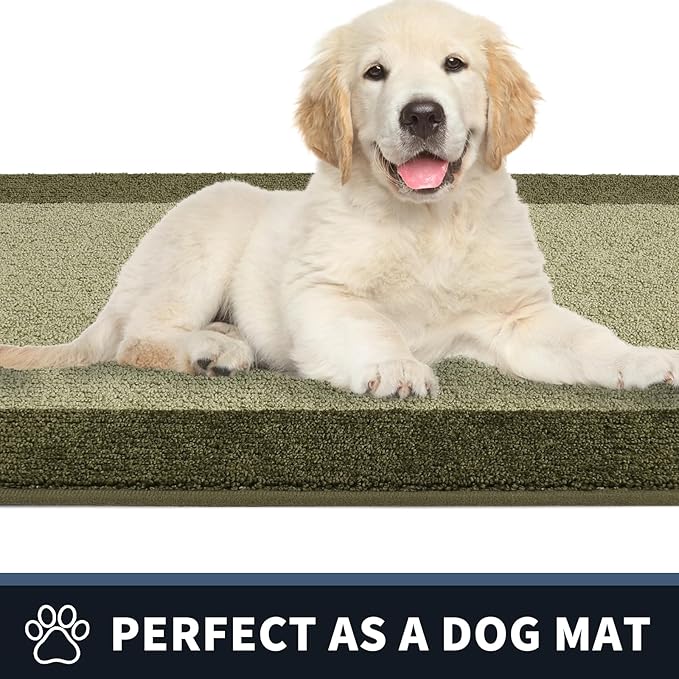 PURRUGS Dirt Trapping Door Mat 24" x 36", Non-Slip/Skid Machine Washable Entryway Rug, Shoes Scraper, Throw Rug, Super Absorbent Area Rug for Muddy Wet Shoes and Paws, Budding Green & Sage Green