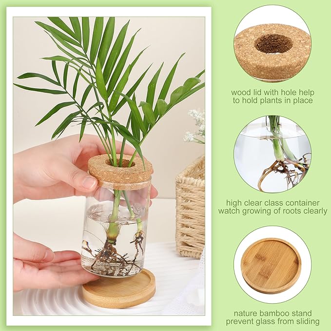 Layhit 4 Pcs Plants Propagation Stations Separated Desktop Plant Terrarium Glass Planter Vase with Wooden Lid and Bamboo Stand for Growing Hydroponic Home Office Tabletop Decoration (Stylish Style)