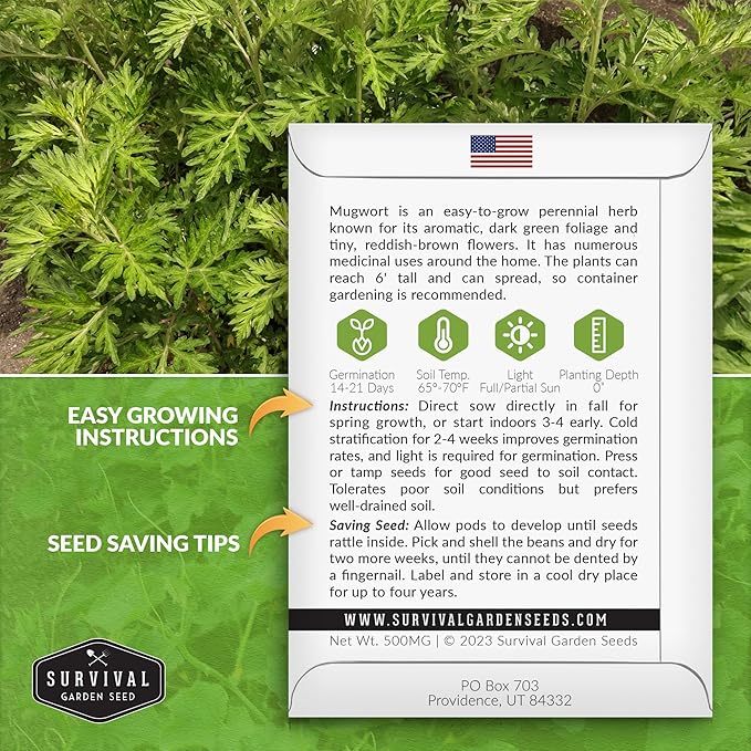 Common Mugwort Seed for Planting - 1 Packet with Instructions to Plant and Grow Artemisia Vulgaris in Your Home Vegetable Garden - Non-GMO Heirloom Variety - Survival Garden Seeds