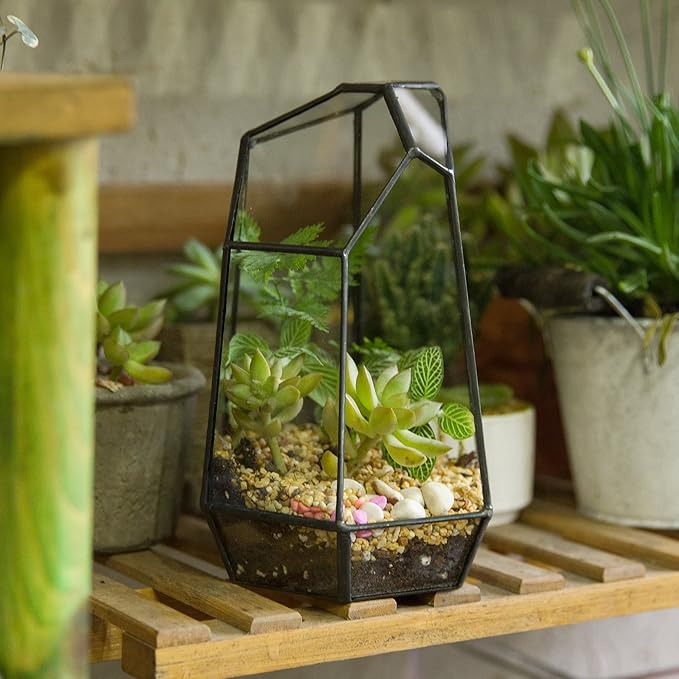 NCYP Small Glass Geometric Terrarium - 4.9 x 3.9 x 7.4 Inches Irregular Clear Planter Pot for Succulents, Cactus, Indoor Garden Tabletop Decoration, Centerpiece (No Plants, No Door)