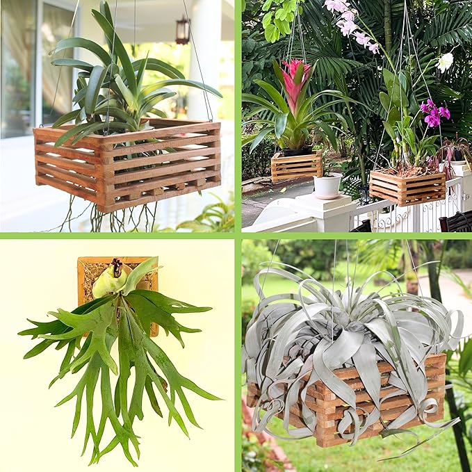 Set of 3 Strong Hanging Orchid Baskets with Hangers, for Orchids, Staghorn Ferns, Handmade Rustic Wood Vanda Baskets, Staghorn Fern Mount