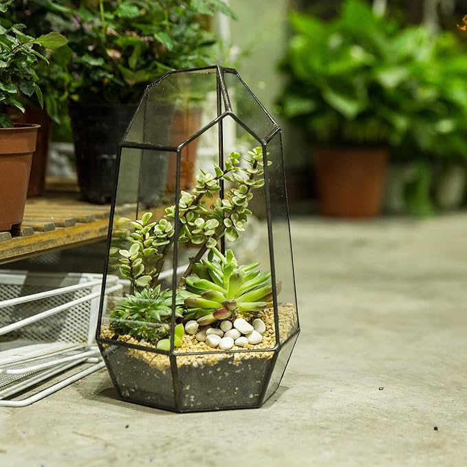 NCYP Geometric Glass Terrarium Planter for Succulent, Small Cacti - 6.5" x 5.7" x 9.8" Black Irregular Opened Container Pot, Indoor Home Garden Office Tabletop Decor (No Plants, No Door)