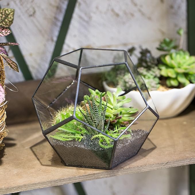 NCYP Small Open Terrarium Planter - 6.89" x 6.89" x 5.9" Pentagon Geometric Glass Container Pot for Succulents, Air Plants - Home Garden Tabletop Miniature Decor, Black (No Plants)